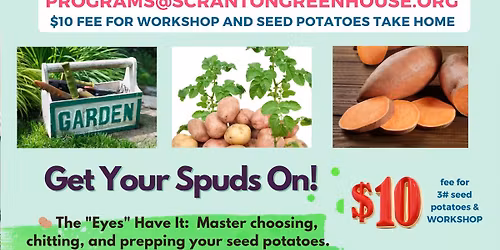 All About Growing Potatoes