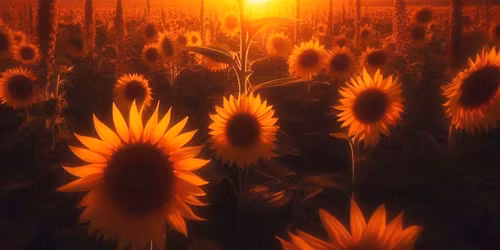 Summer Solstice & Art Market 2026 \u2600\ufe0f \ud83d\udc1d \ud83c\udf3b