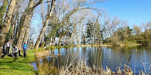 PRIMAVERA TRA LE TESTUGINI PALUSTRI