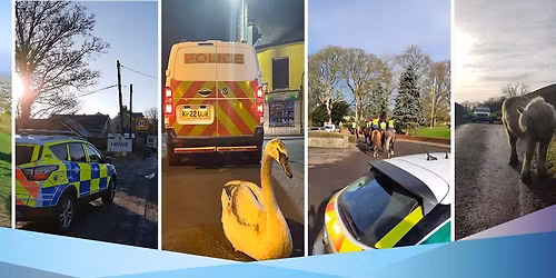 Beat Surgery -Tescos, Wells