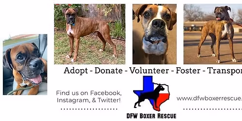 DFWBR April Adoption Day Event