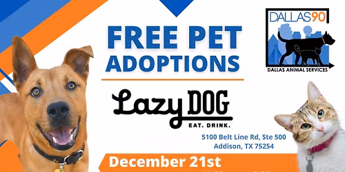 Lazy Dog Addison Adoption Event