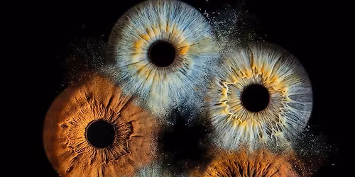 Iris Photography at the Arc in Bury St Edmunds!