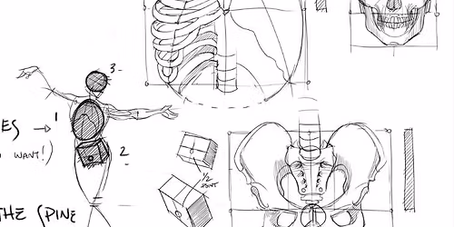 Advanced Figure Drawing: Heads and Facial Features