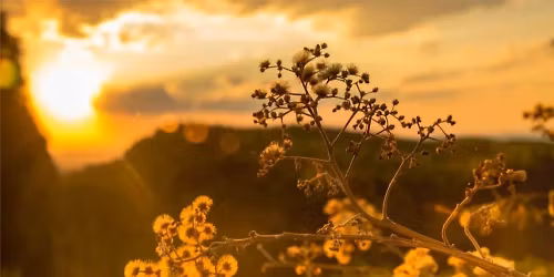 Sacred Threshold Death Cafe - In person