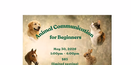 Animal Communication for Beginners