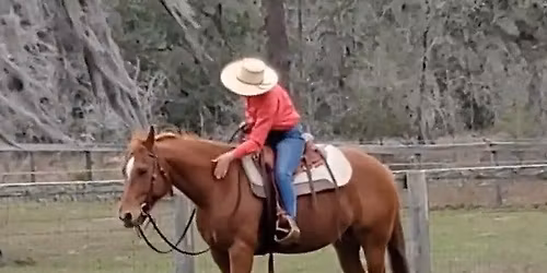 Carson James Florida Clinic 2026