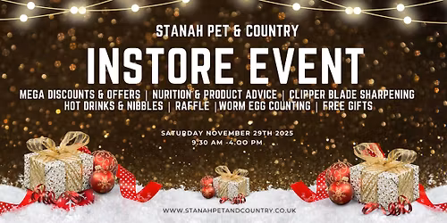 Christmas In Store Event