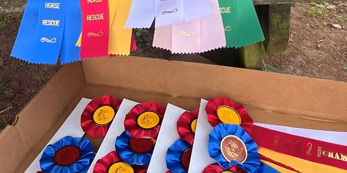 3rd Annual Omega Horse Rescue Benefit Show