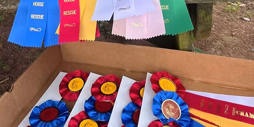 3rd Annual Omega Horse Rescue Benefit Show