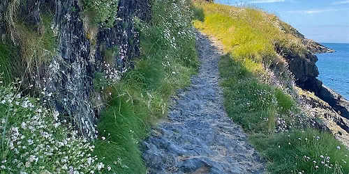 Hike & Brunch - Come along to Howth!