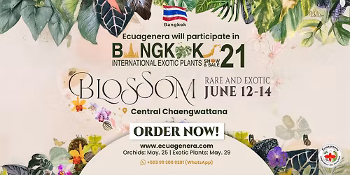 Ecuagenera will participate in the 21st Bangkok International Exotic Plants - Show and Sale