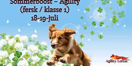 Sommerboost \u2013 Agility (fersk \/ klasse 1)