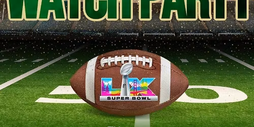Super Bowl Party