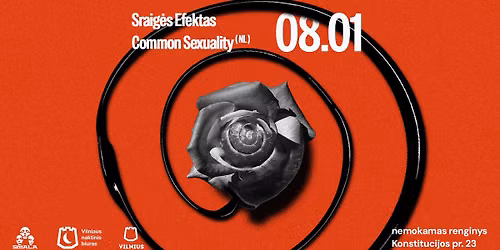 Smala: Sraig\u0117s Efektas, Common Sexuality