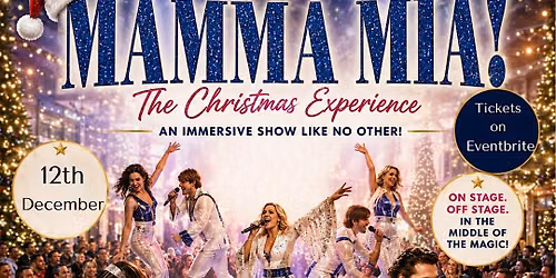 Copy of Mamma Mia - The Christmas Experience EVENING - Hilton Hotel Dublin