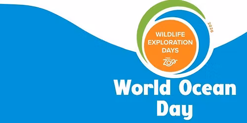 Wildlife Exploration Day l World Ocean Day