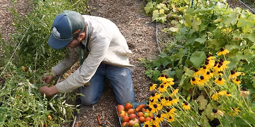 Sustainable Food Systems w\/ Boise Urban Garden School (BUGS)