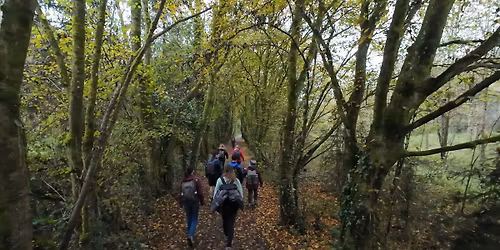 🌷☀️Spring Equinox Immersion Hike: Unfreeze Your Vitality 🌿