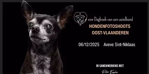 Hondenfotoshoots ten voordele van vzw Dagboek van een asielhond