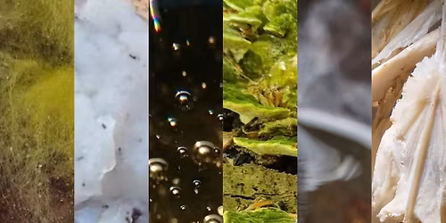 \ud83d\udd73 WUNDERLAND DOWN THE RABBIT HOLE : ARTIST TALK \ud83d\udd73