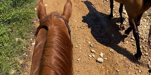 Ride the Ridge at Mountain Ridge ATV Park Spring \u201826