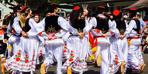 Fundraiser Afternoon Tea in support of Leukaemia & Blood Cancer NZ