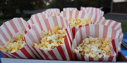 Movie in the Park: Zootopia II (Spanish Subtitles)