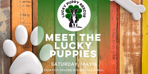 NY-Meet the Lucky Puppies