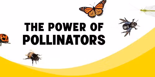 THE POWER OF POLLINATORS