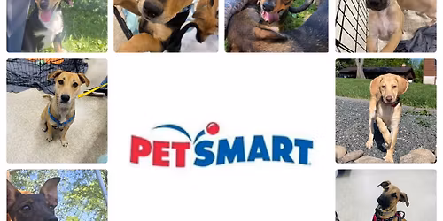 Adoption event