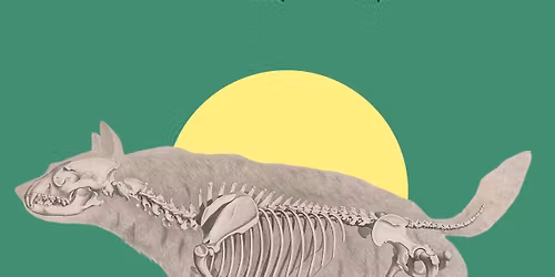 Feral Anthem & Bill LaVoie & Jacob Jones