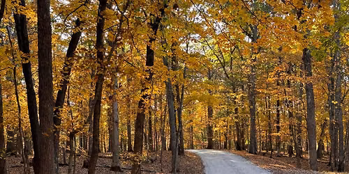The Innsbrook Half Marathon & 10k