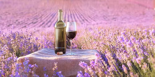 Complimentary Wine Sampling @ Rye Brook | Sips of Spring