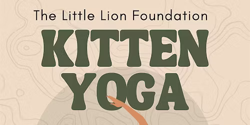 Kitten Yoga and Play Therapy