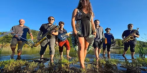 Twilight Series: High Summer with Moondogs