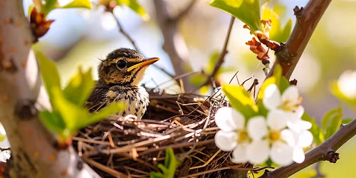 Cultivate Change: Environmental Stewardship for the Home Gardener