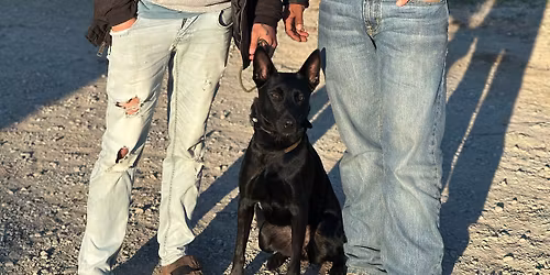 Working Dog Workshop with Ricky Rivera