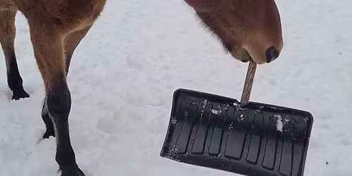 Year End DTR Grounds Clean Up!