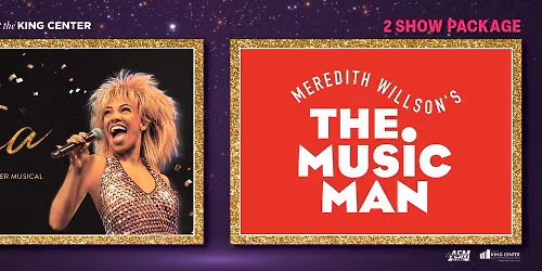 TINA - The Tina Turner Musical - Melbourne