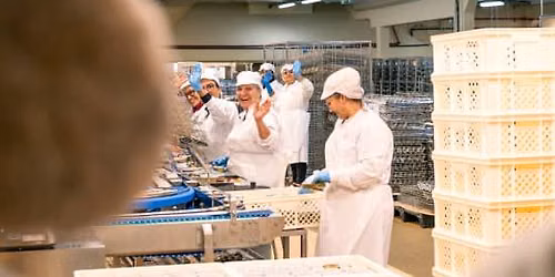 Conservas Pinhais Factory Tour: Guided Experience in English
