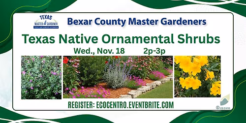 Texas Native Ornamental Shrubs for Your Landscape