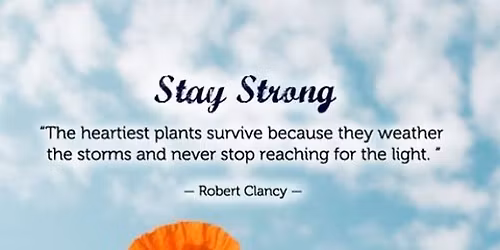 December Healing Circle 