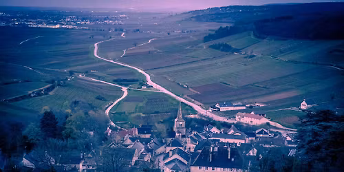 Ultimate Man Les Grands Crus 2026