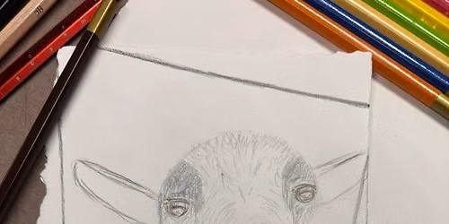 Drawing Class
