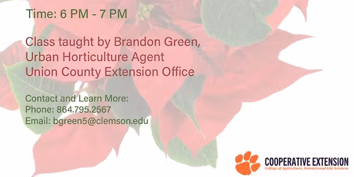 Poinsettias Essentials