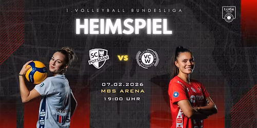 SC Potsdam - VC Wiesbaden