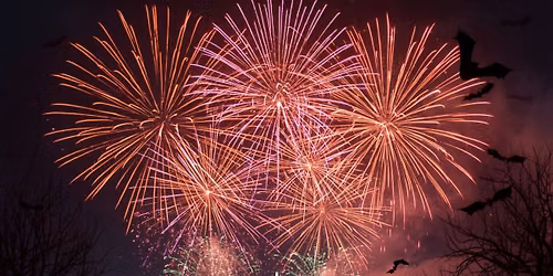 Halloween Fireworks Night