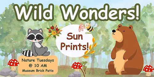 Wild Wonders! Nature Tuesdays: Sun Prints! (Ages 2-6) @ Museum Brick Patio