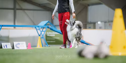 Koeruse MA Rallikuulekuse v\u00f5istlus 23.05.2026